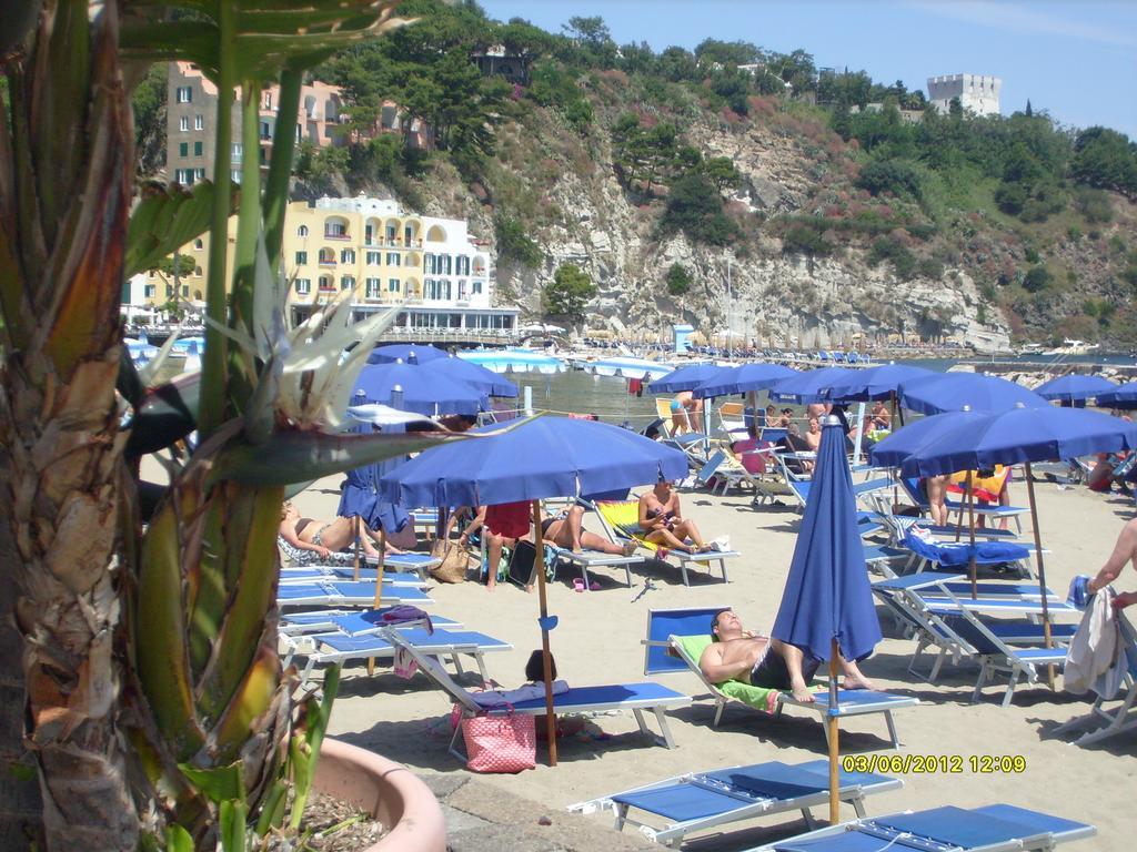 B&B Celestina Ischia 拉科阿梅诺 外观 照片