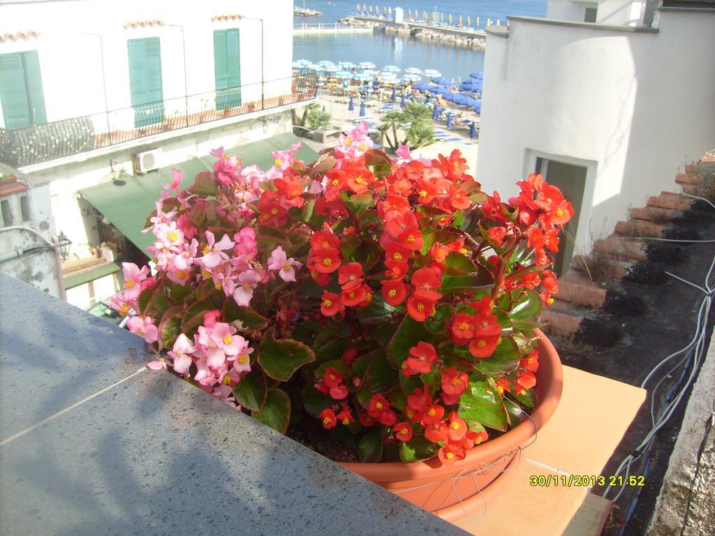 B&B Celestina Ischia 拉科阿梅诺 外观 照片