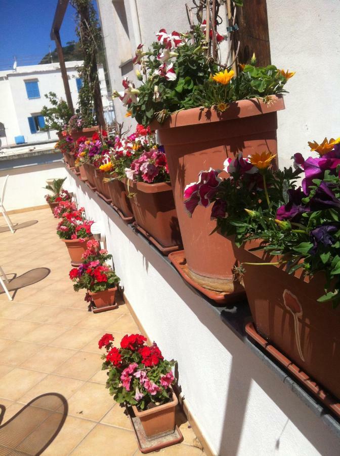 B&B Celestina Ischia 拉科阿梅诺 外观 照片