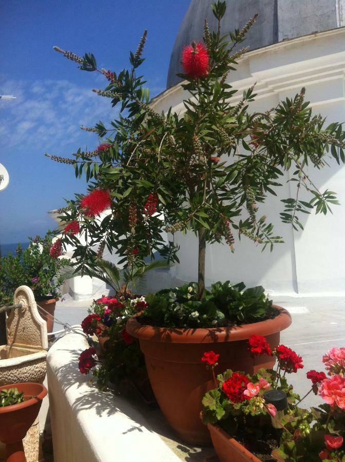 B&B Celestina Ischia 拉科阿梅诺 外观 照片