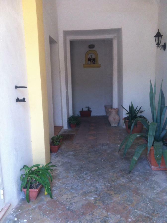 B&B Celestina Ischia 拉科阿梅诺 外观 照片